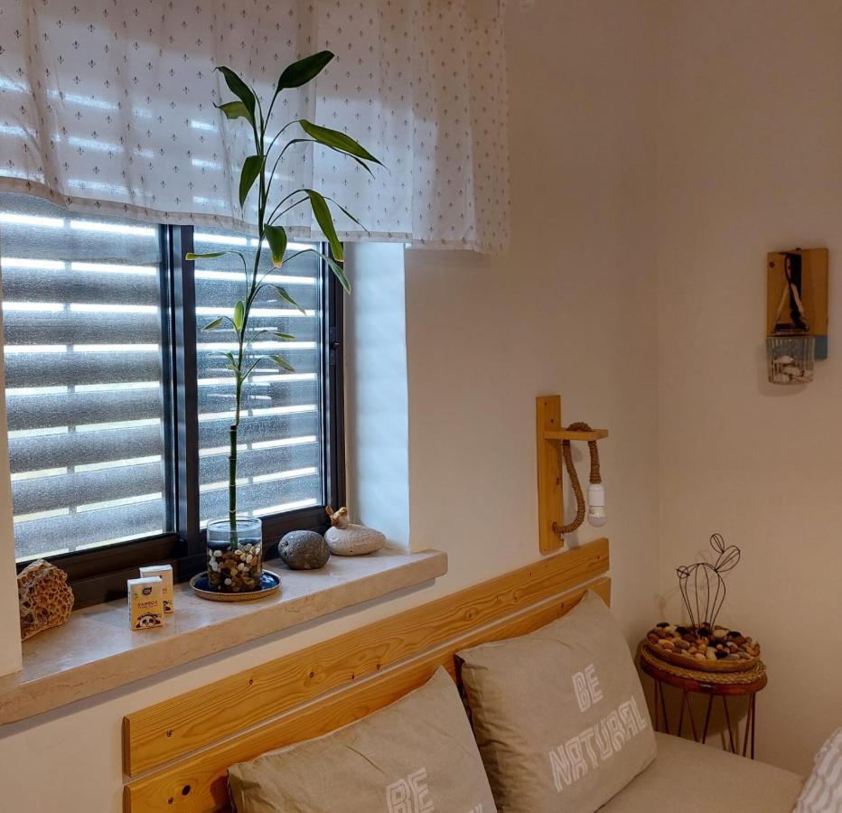 Appartement צמח בר à Midreshet Ben Gurion Extérieur photo